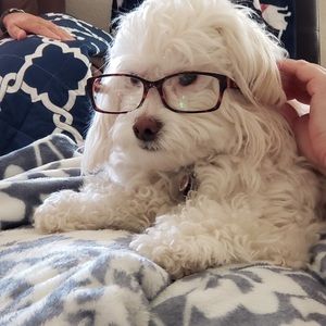 Meet your Posher, Candace